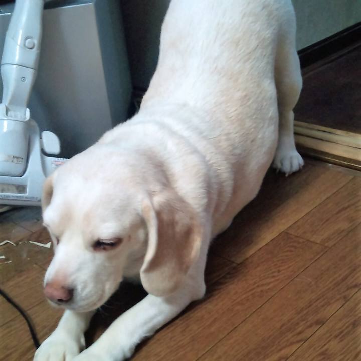 67e092ff 8b59 4578 938c c93294ac382a