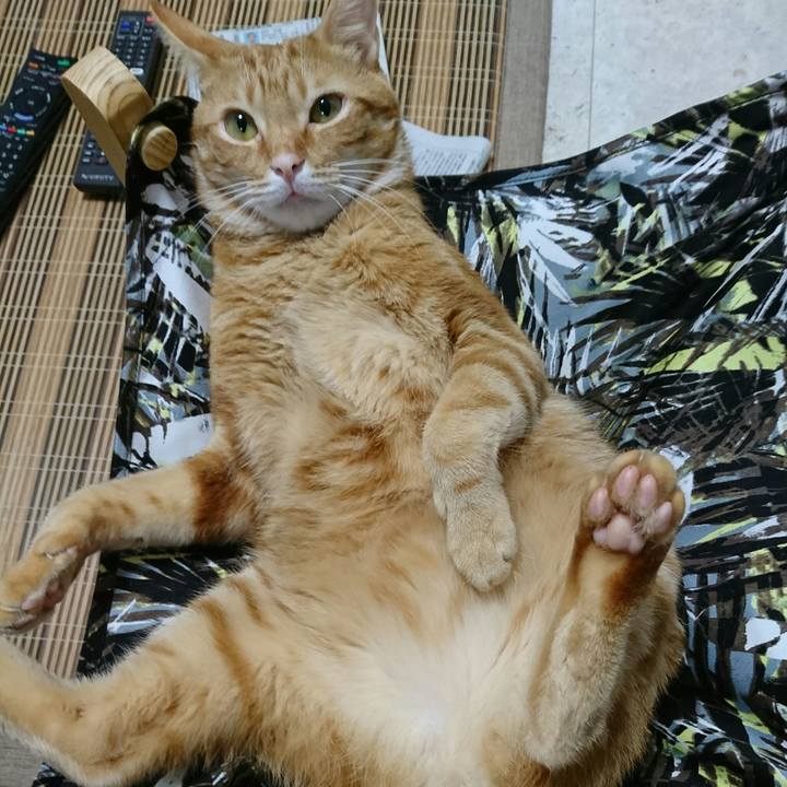 67e12428 b101 4a5a b852 70b15bbdb408