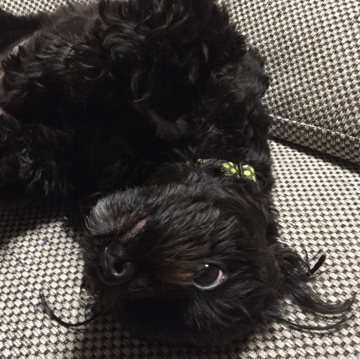 67e1c480 0081 4df6 9f3a 5ae747d8368b