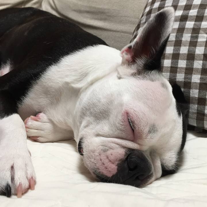 67e1d6eb af49 4d17 848b 160bbf622bc4