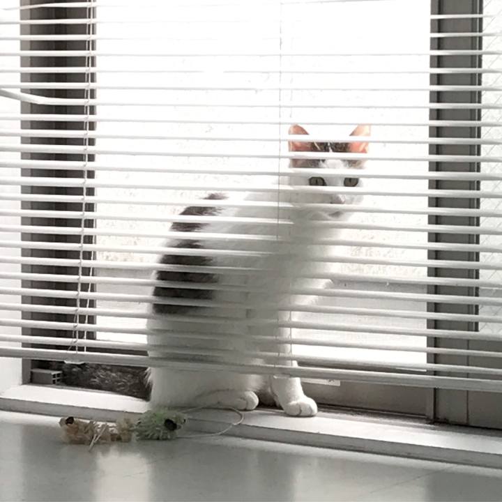 67e1e4f8 4dee 4d1e a4d8 9d0195da95c7