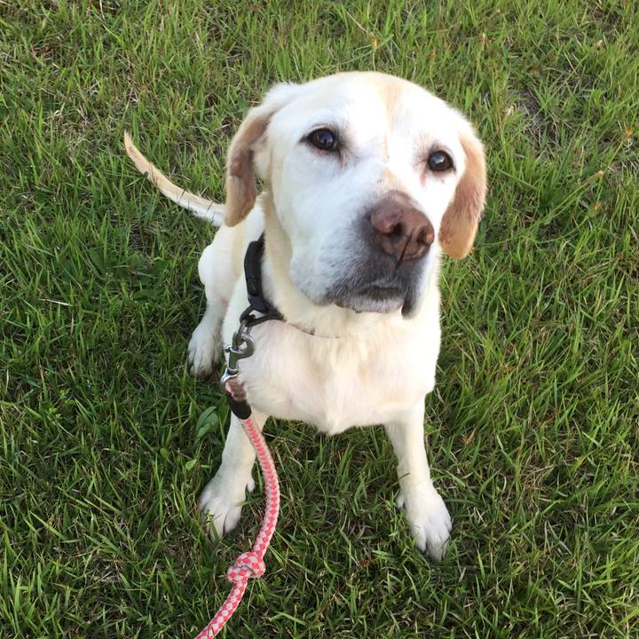 67e1e9a1 bd05 476e 8bf8 537ab3fe07db