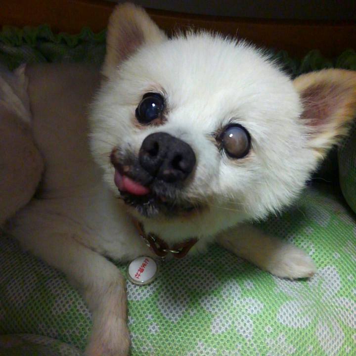 67e1f644 9f7f 410f 9a70 ec59e8f9d17c