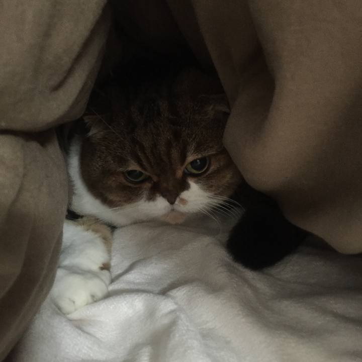 67e20492 671f 4b7b 93ca f304777727b6