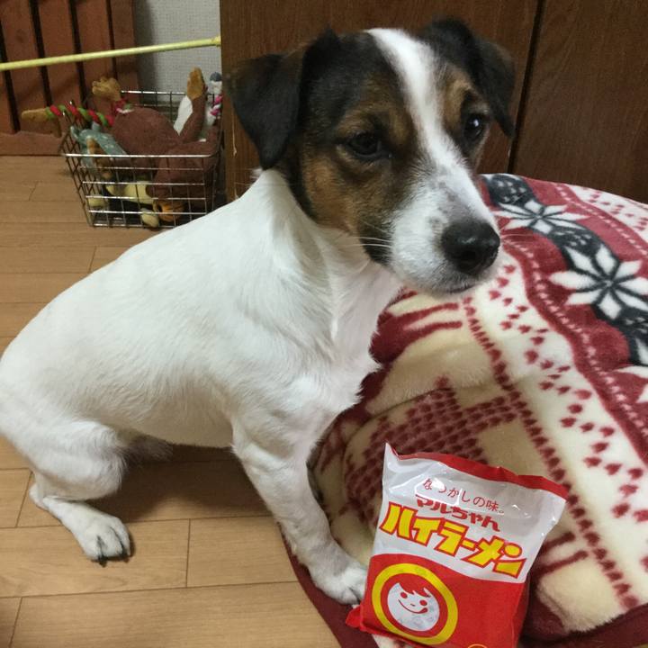 67e321cd e5b5 482d a228 2208d7e6ba7e