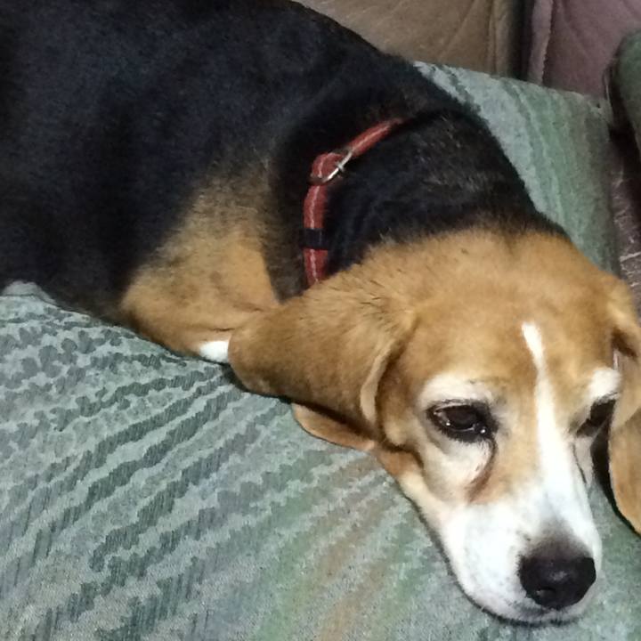 67e389d4 a2a5 4484 96fd 91c50e8de61b