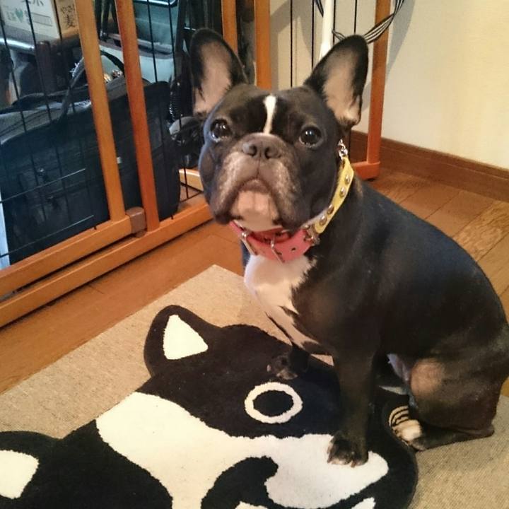 67e38d50 0d55 4671 9d3b 8b48ef463be7