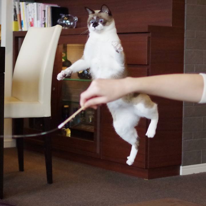 67e3936c 63e1 4018 8676 bf38183eae41