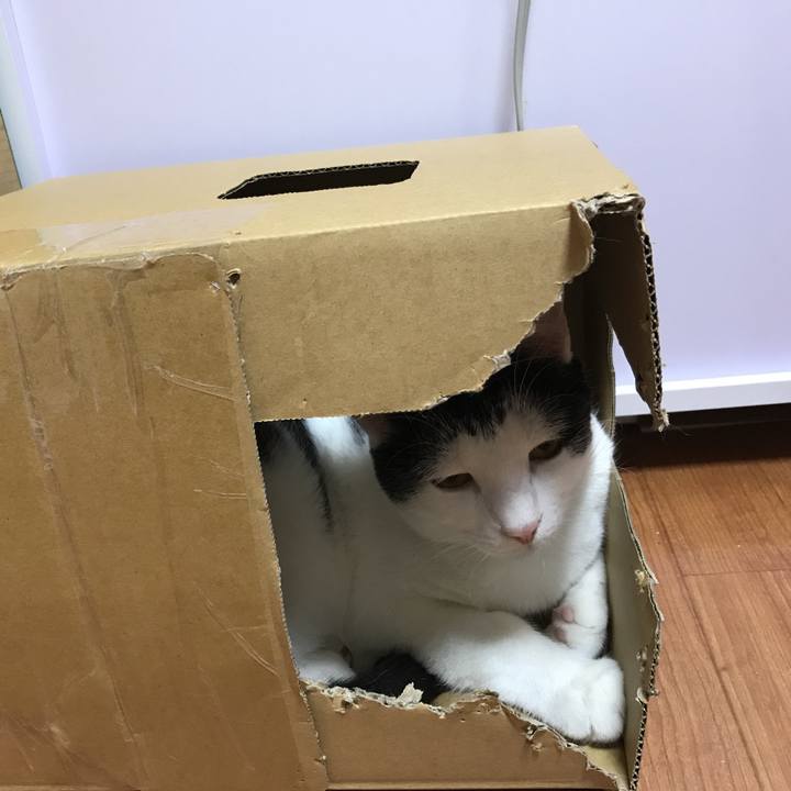 67e3eeaf ef86 4a3f a4eb c9699a1e1aa4