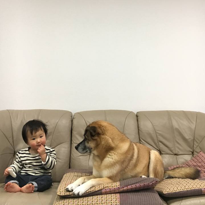 67e40a49 cd32 41b9 bd49 ca9266df7944