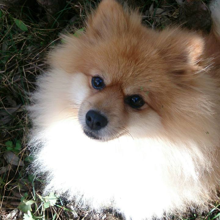 67e4b3f4 974a 4a04 8f15 b81fab707c34