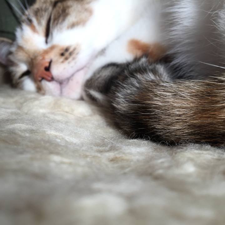 67e4edcb bdc9 446f acee 714c9c24762e