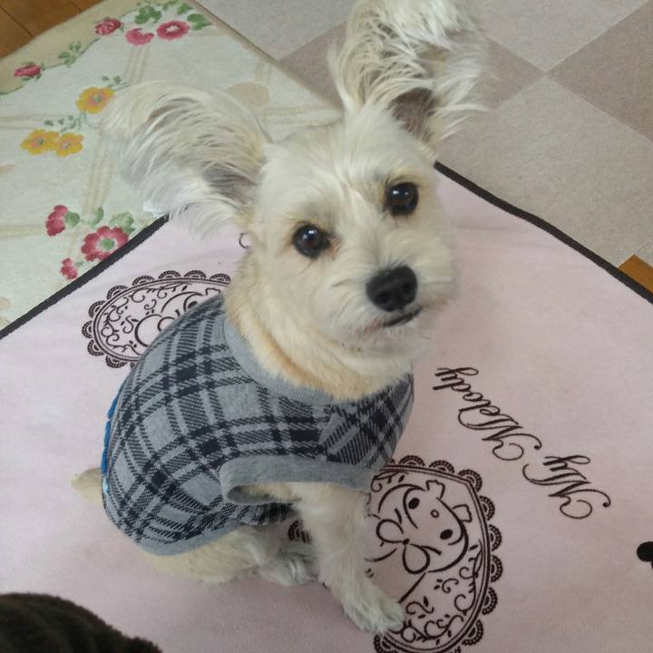 67e4fdbe 7305 412a b440 3c85fb9d08b9