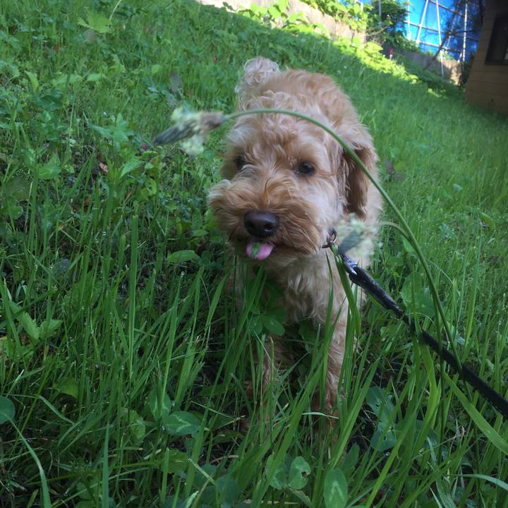 67e69eac 9a77 4735 ac6f beb1eb9f6ae9