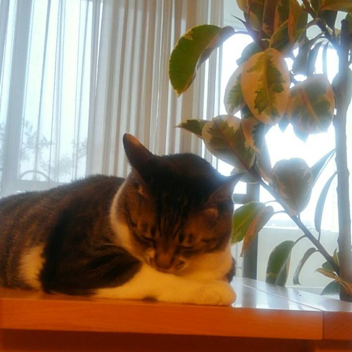 67e6c2bb 6a50 4dd2 8120 95ac82bde924