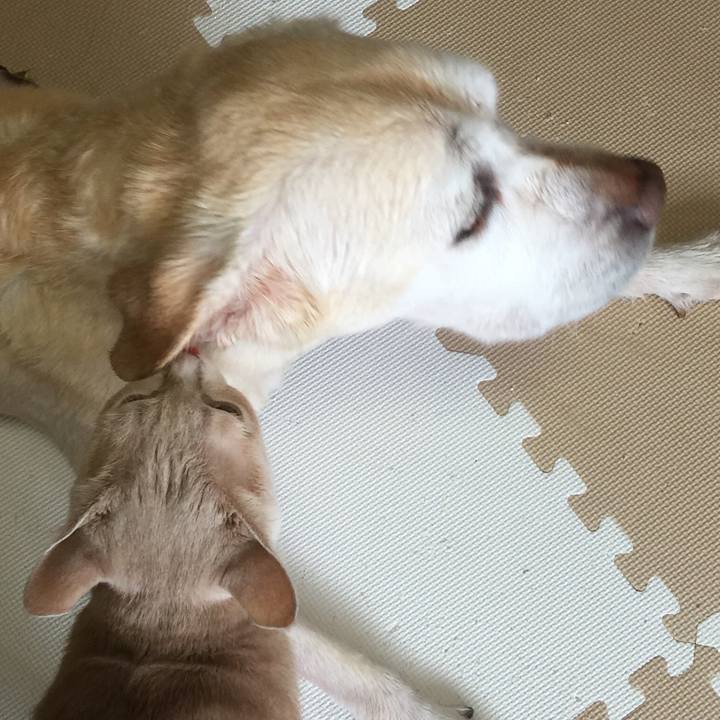 67e7265a aad6 4de0 ab32 18ad8bdbf625