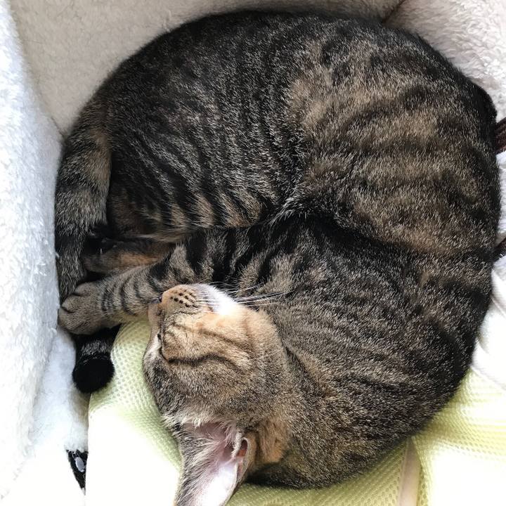 67e7600b 3ead 43da 8511 2b0991f48c4f