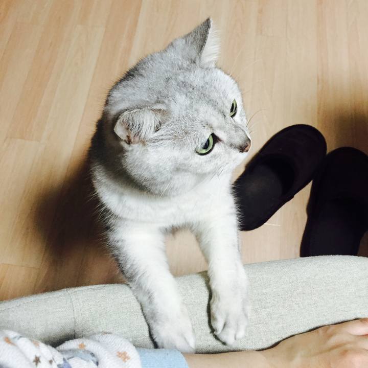 67e7a415 3c39 4e3b b5cc a3c42e8768f1