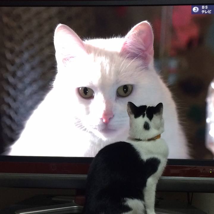 67e82b6c 1009 41cb 86ac ca8524f514ea