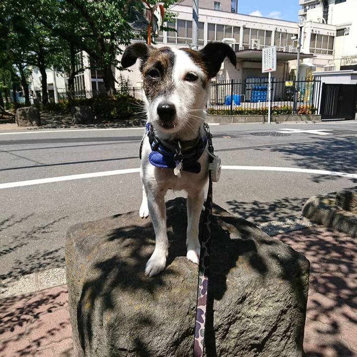 67e9366e e70e 413b afab 7b5110565edc