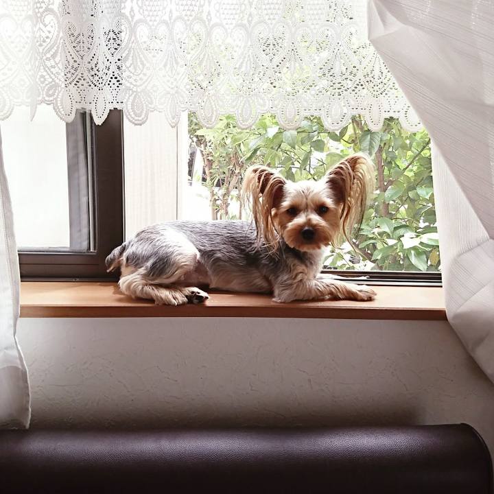 67e984cb cf83 43f5 b7b4 6e69f7caf3b2