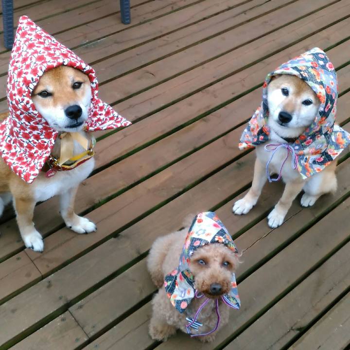 67e98fad 7810 49e2 8e12 3b50b0f262ca