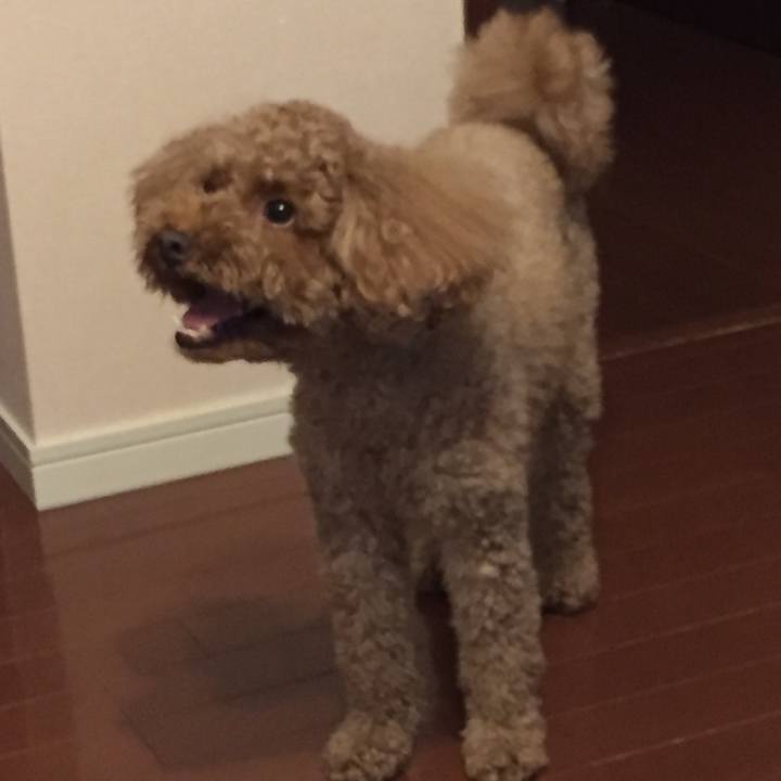 67e9bb42 cc6e 4968 8148 c335b4d1810d