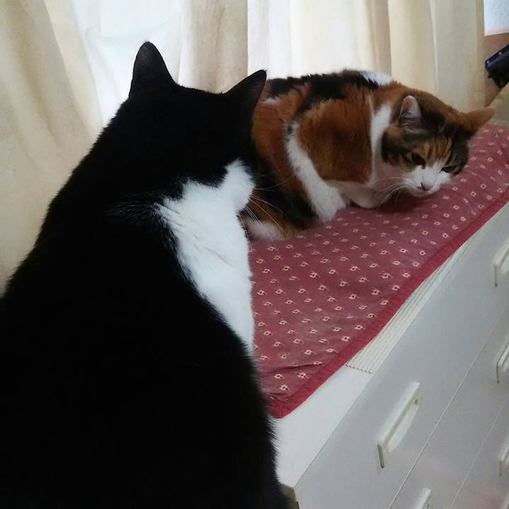 67e9c0c6 91c1 43eb 8a37 c3bfcb78f00c