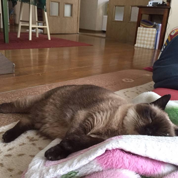 67eaa3f0 d18b 4664 9d56 fa1c2ab7f9c1