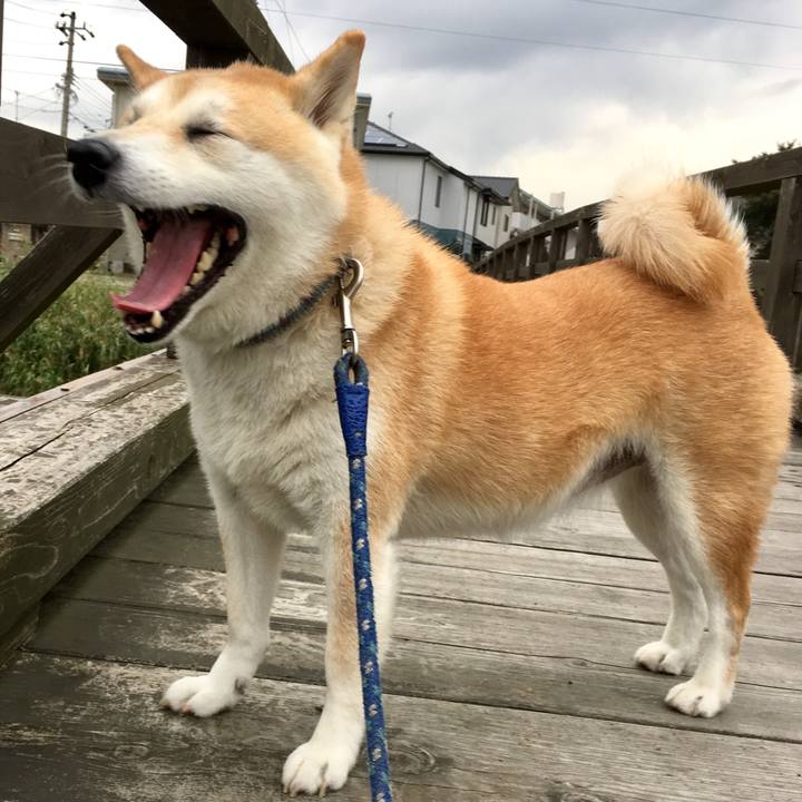 67eac8cd b062 44fb 99a4 207d2d37f927