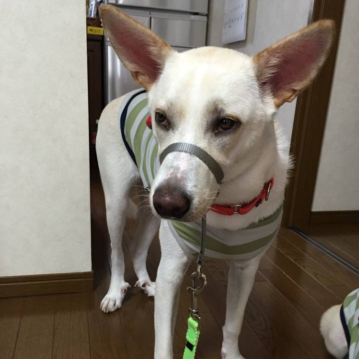 67eae760 2936 441d 93e3 b07b65f5ae70