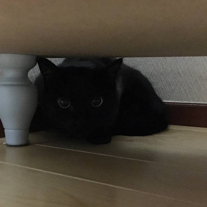 67eb2e67 a5e6 499d 9ecc 3615c3863d33