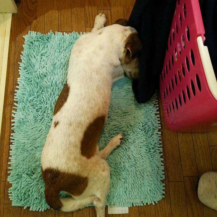 67eba829 380f 4ff6 a8fe e47cd99129ed