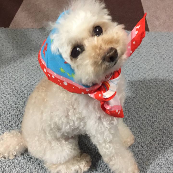 67ec8fbb b79b 4ed5 a474 c81a9632cd9d