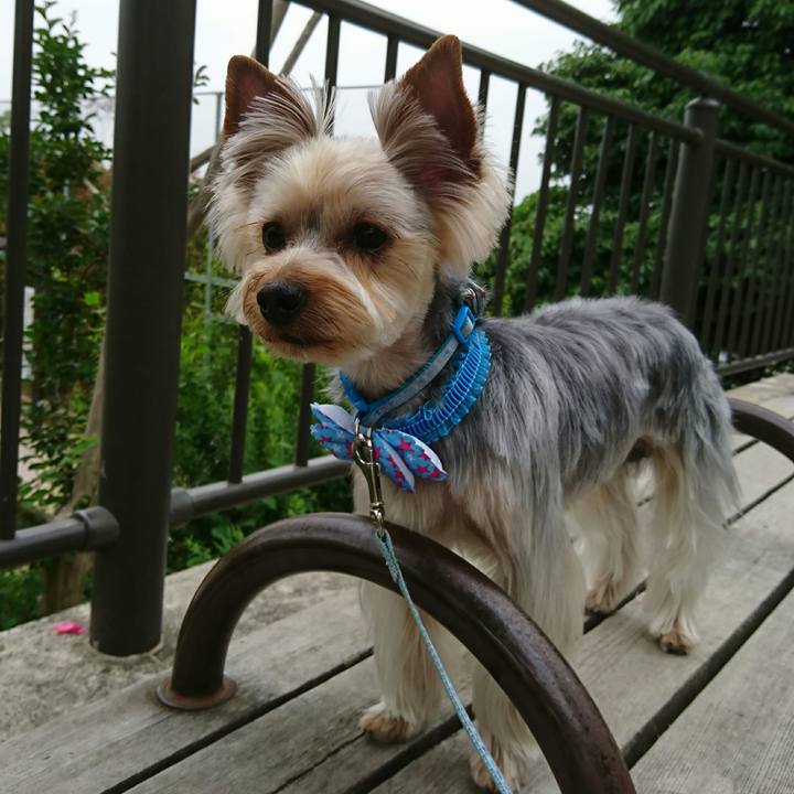 67eda03b f583 486c bf9b c04d422a2983