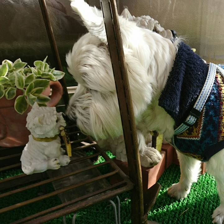 67eda106 4c03 4362 af14 63572de9aa1e