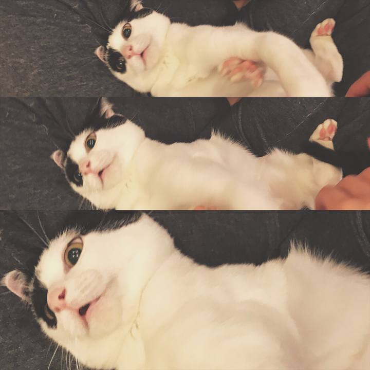 67eea1a1 ce92 43d4 ae26 296d0cfd6df0