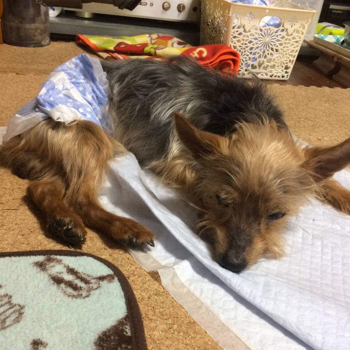 67eef2f9 0d81 4884 9b7b cedb87654b51