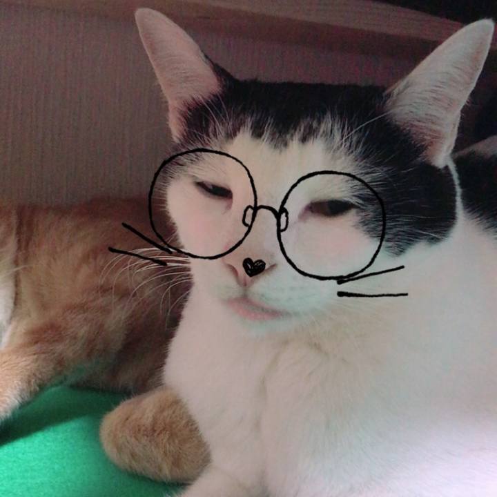 67f07765 82f2 4c08 ab14 0b406c488563