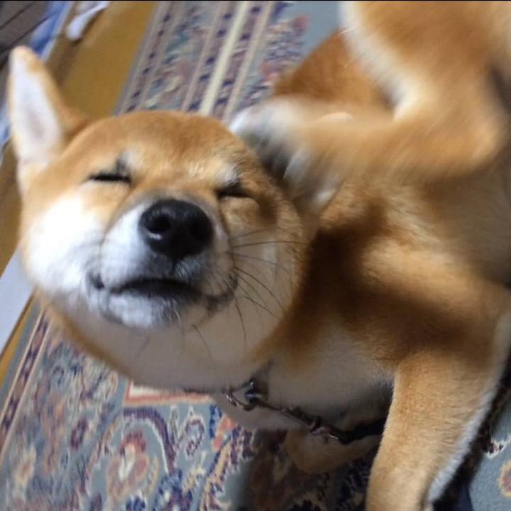 67f0bf69 c735 41e7 86a7 b93bf1e54705