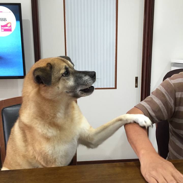 67f1c20f 3358 4397 8377 23879b76e5be