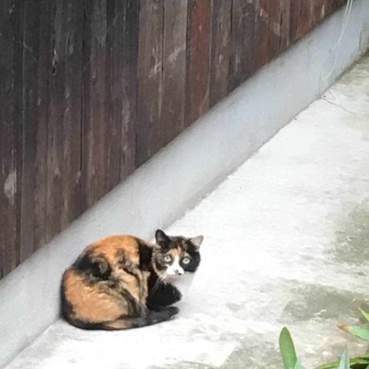 67f23e78 d25e 423f ad03 acb8ee7f14a2