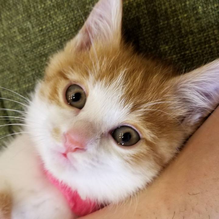 67f31c12 c926 4f4b 8a04 eea06a7a5318