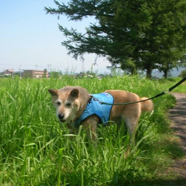 67f355ec f5c3 44eb 935c f223ea97ea7c