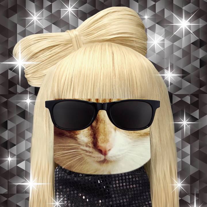 67f4e485 5aac 4e5a a8ab fc0497ed5367