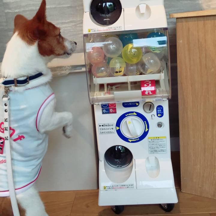 67f4ffc5 be21 4e66 9ddf 588d305efe52