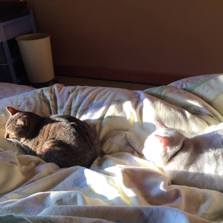 67f52a6a 6de0 4561 898d 1f4fdaccd1e2