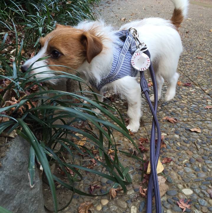 67f53853 5df1 4839 b1a3 77399882d914