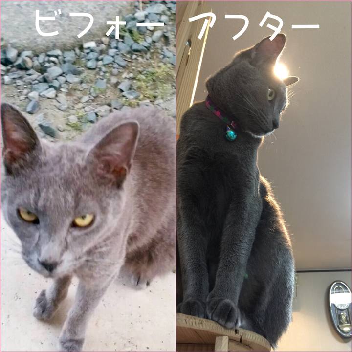 67f5473f 641c 4ca5 b1ea c5c9ff26cbb6