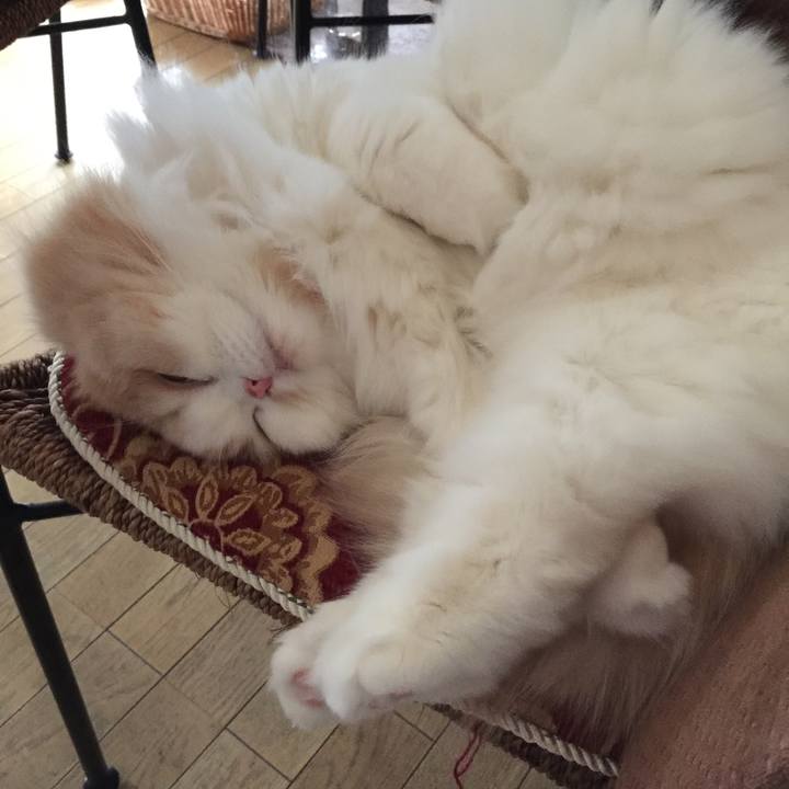 67f55469 b9d1 4366 bcfd bd8e045e4eed